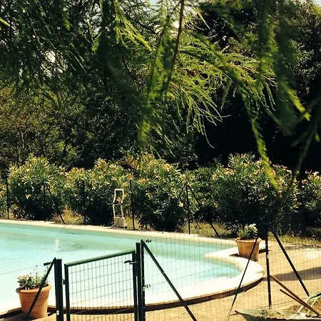 Holiday home Mas Des Vignes - View Cite De *