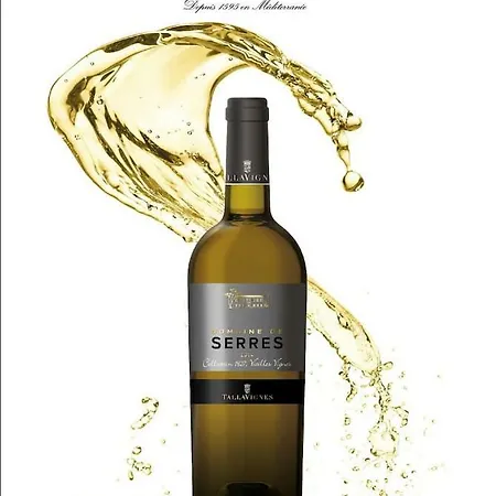 Mas Des Vignes - View Cité De Hébergement de vacances Carcassonne