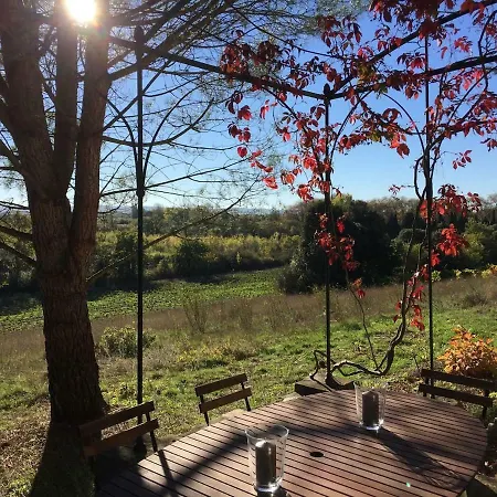 Holiday home Mas Des Vignes - View Cite De Carcassonne