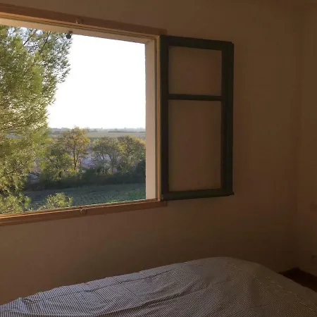 Mas Des Vignes - View Cite De Holiday home Carcassonne