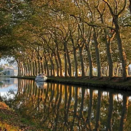 Hébergement de vacances Mas Des Vignes - View Cité De *