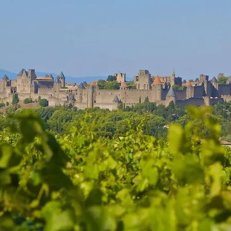 Mas Des Vignes - View Cite De Holiday home