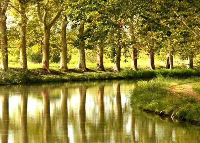 Mas Des Vignes - View Cite De Holiday home Carcassonne