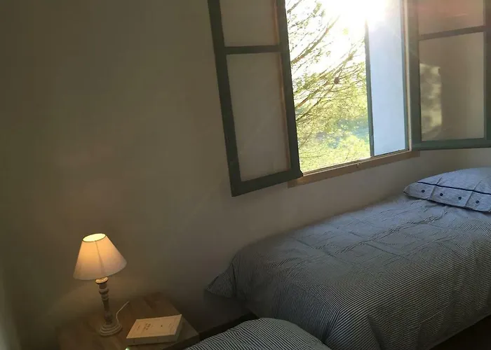 Holiday home Mas Des Vignes - View Cite De *