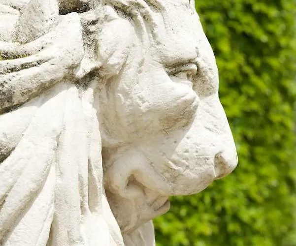 Holiday home Mas Des Vignes - View Cite De