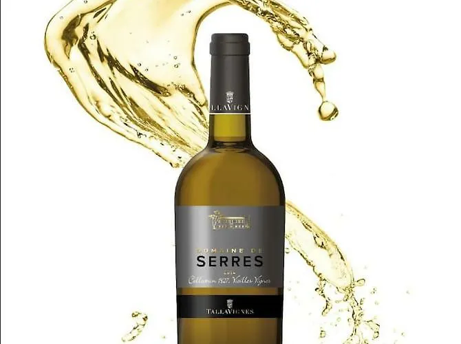 Mas Des Vignes - View Cite De Holiday home Carcassonne