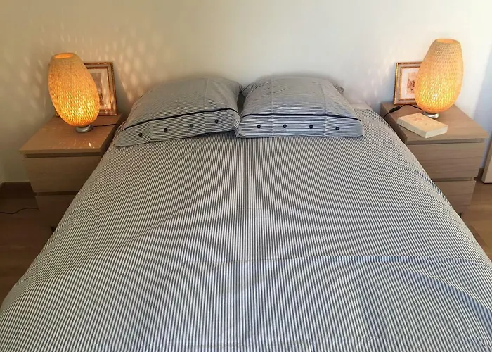 Mas Des Vignes - View Cite De