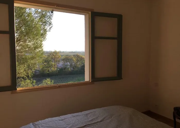 Mas Des Vignes - View Cite De Holiday home Carcassonne