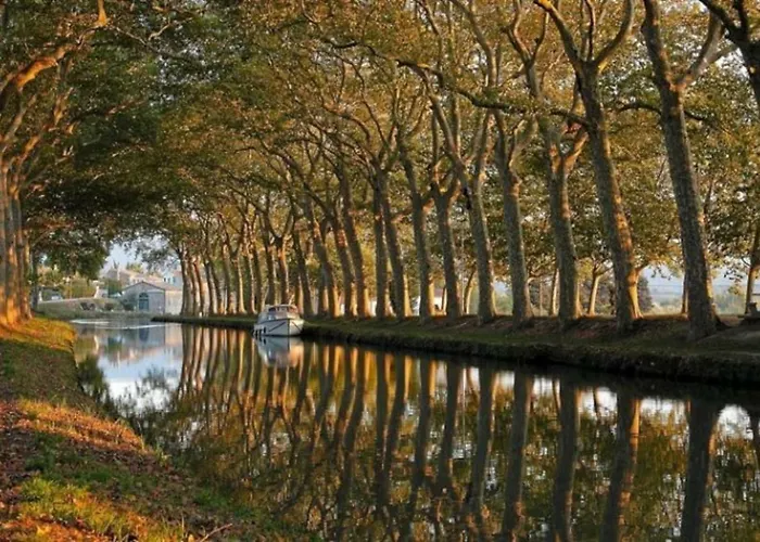 Holiday home Mas Des Vignes - View Cite De *