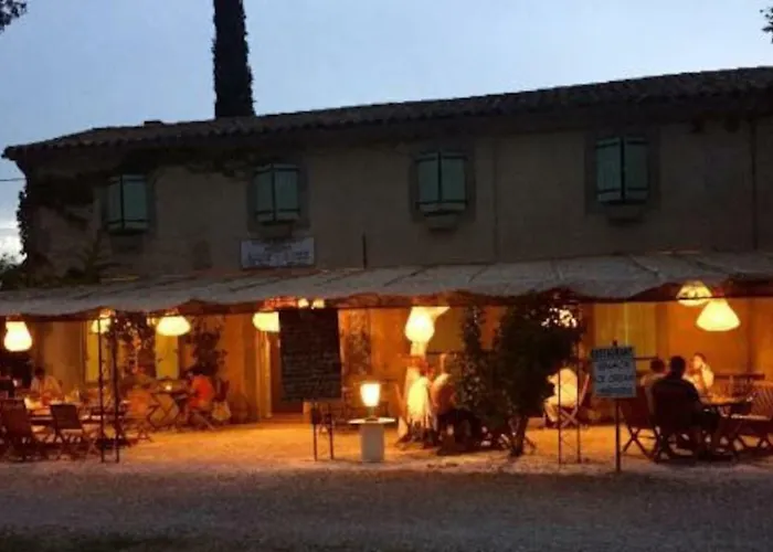 Holiday home Mas Des Vignes - View Cite De Carcassonne