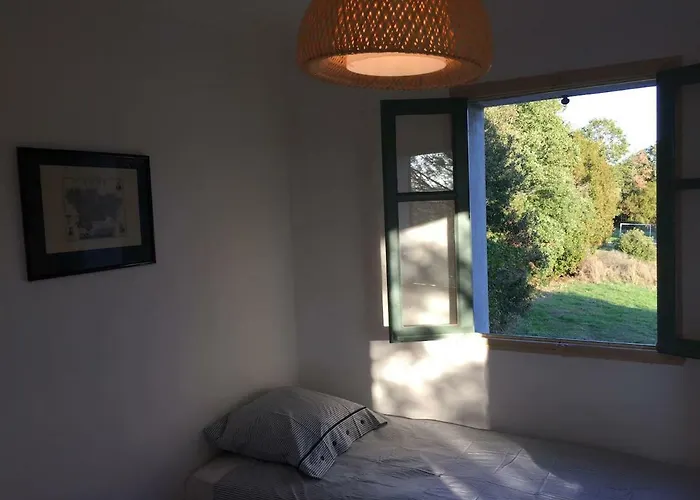 Mas Des Vignes - View Cite De