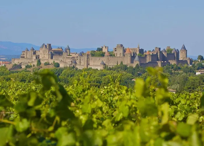 Mas Des Vignes - View Cite De Holiday home